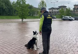 Un operatore del gruppo SAI durante la dimostrazione cinofila